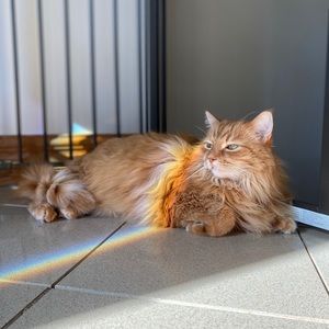 Meet your Posher, Elizabeth